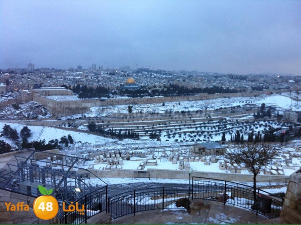 snow yaffa guys (19).JPG